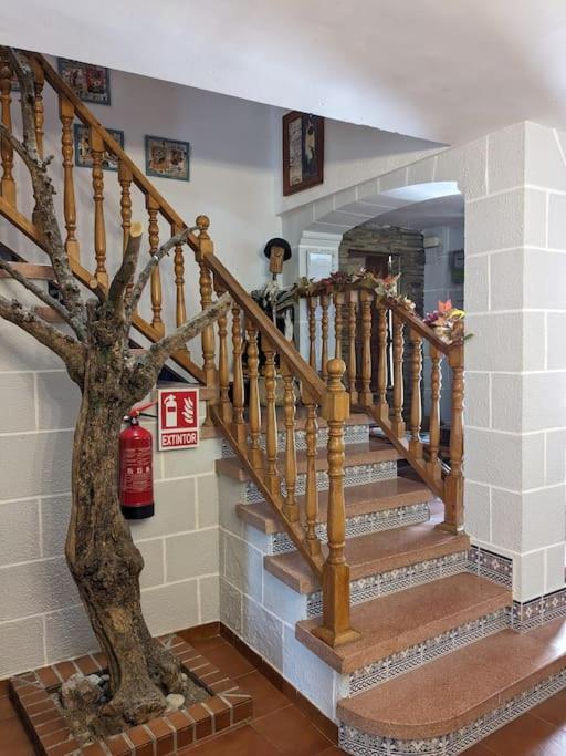 Apartament Maire Gata